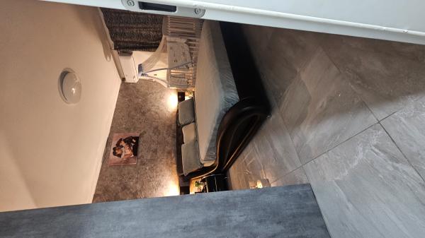 המרגלית 26, הפרחים