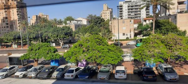 וייצמן 77, מרכז העיר צפון