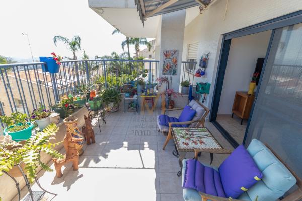 היקינתון, רמת אלמוגי