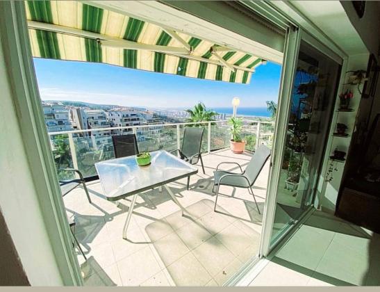 הרופא, אחוזה