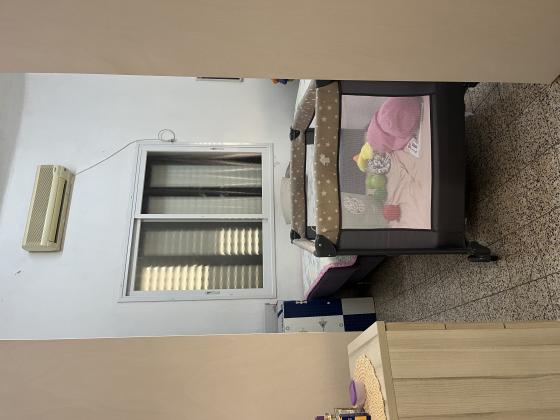 ארלוזורוב, הדר הכרמל