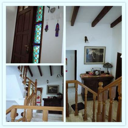 השיקמה 2, נווה דוד