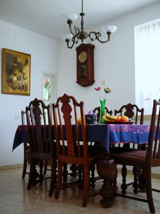 השיקמה 2, נווה דוד