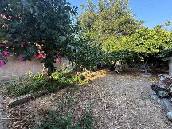 בשכונת הרצליה פיתוח