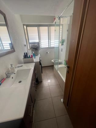 הגלבוע 7, שיינקין