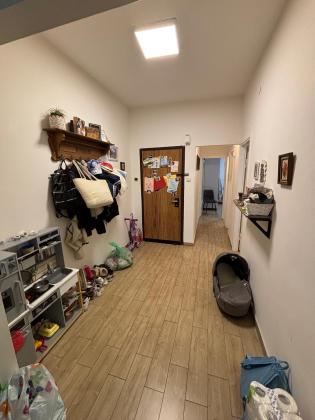 אילנות 17, כרמל מערבי