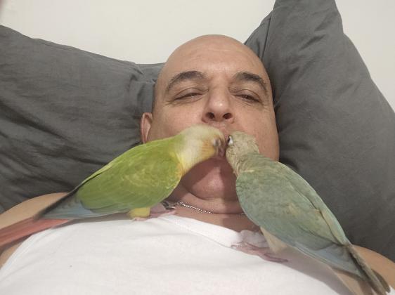 גרינציקים האכלת יד מתאים לילדיםרגילים