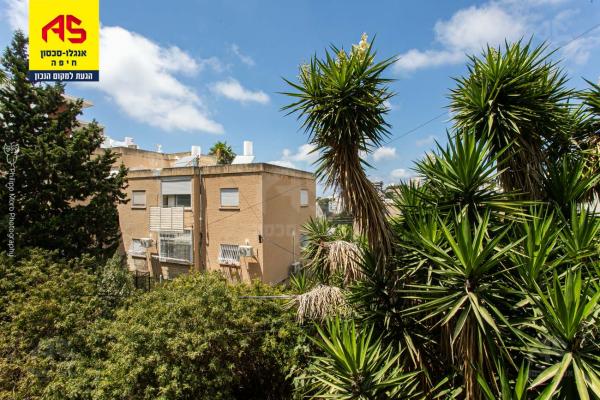 לאה, כרמליה