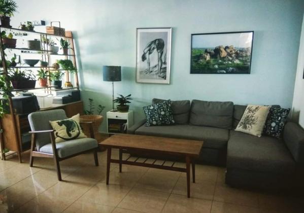 אורן 29, רוממה החדשה