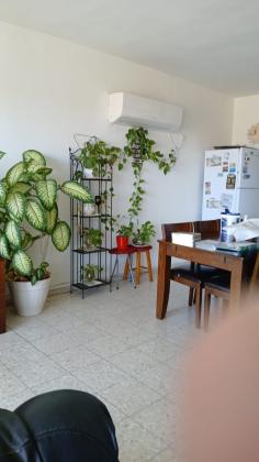 דוד אלעזר 79, ח-500