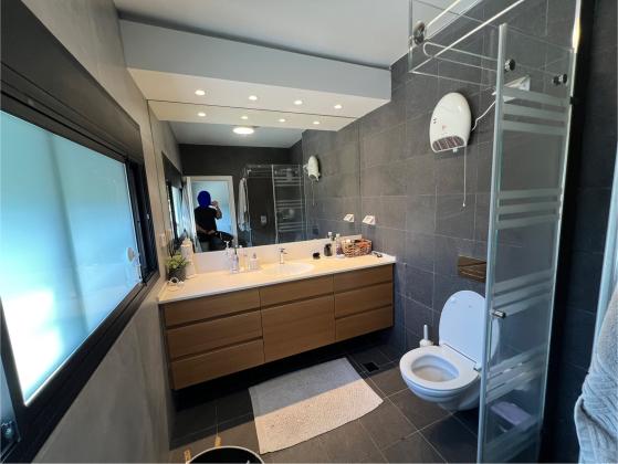 תל חי 27, הירוקה המרכזית