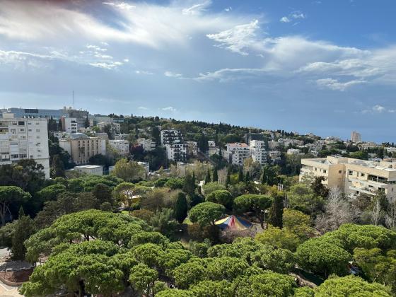 שדרות הנשיא, כרמל צפוני