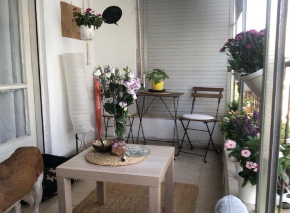 אשתורי הפרחי 24 (הצפון הישן החלק הצפוני)