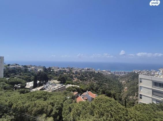 שדרות הצבי 38, כרמל ותיק