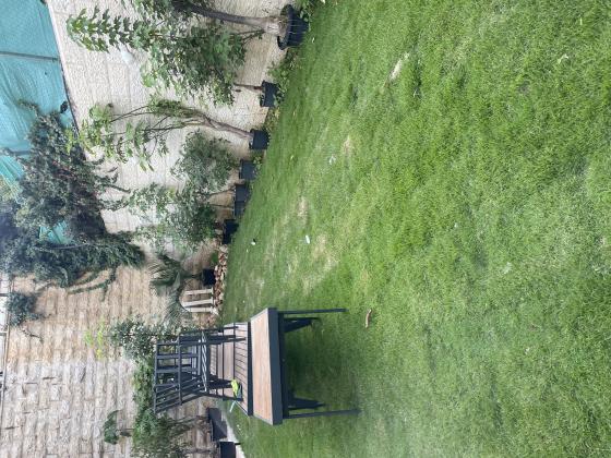 משעול הדקלים 6, רמות