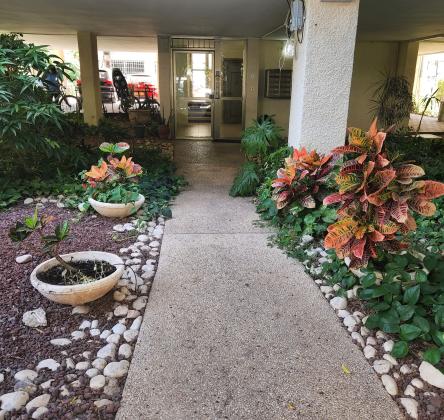 בשכונת הצפון הישן החלק הצפוני