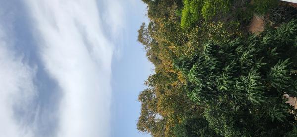 בשכונת נוה אביבים