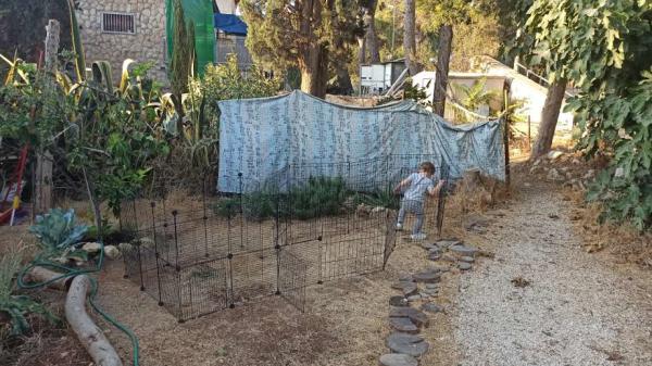 שח"ל 24 (גבעת מרדכי)