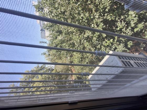 חטיבת הראל 12, שמשון;שלמה;ביאליק