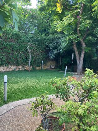 בשכונת דניה