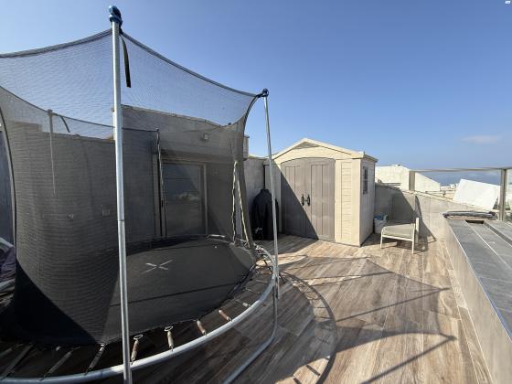 פרויד 39, רמת אשכול