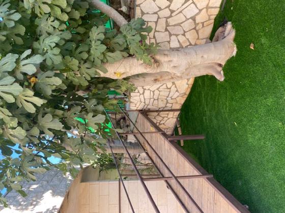 הפלמ"ח 143, מעוז ציון ב'