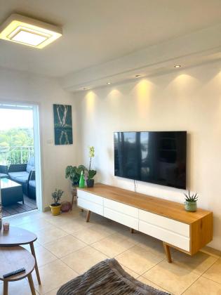 שלון 11, סביוני דניה