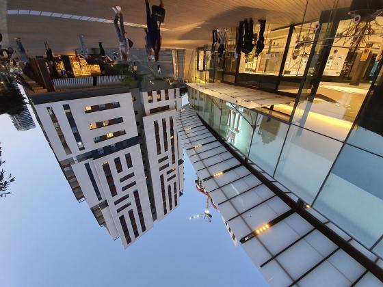 החשמונאים 96, שרונה