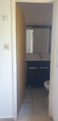 דוד שמעוני 2, הירוקה המרכזית