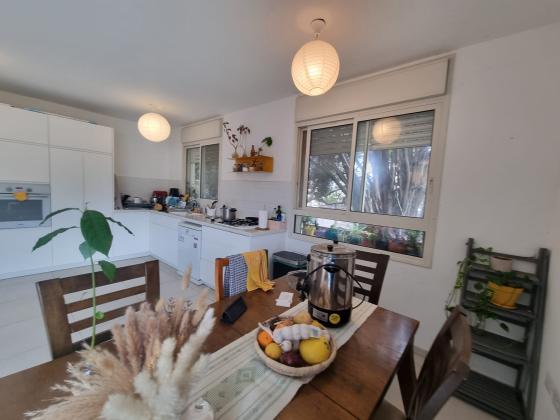 רוזנבלט צבי, דקר