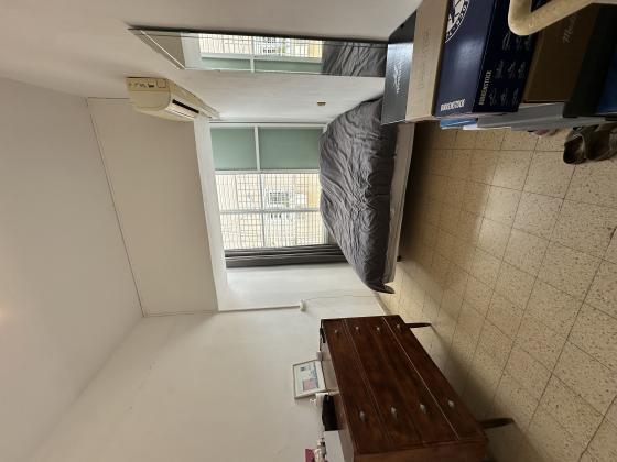 יונתן הופסי, הצפון החדש החלק הצפוני