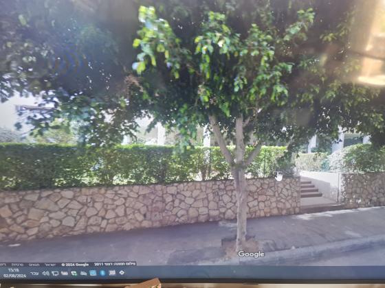 דוד הראובני 7, רמב"ם