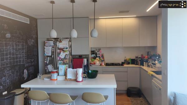 בורלא, תוכנית ל