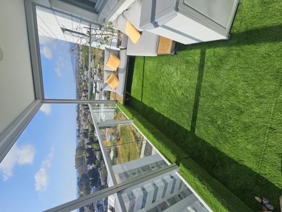 כליל החורש 9, יצחק שמיר