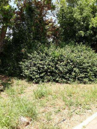 קהילת ורשה, הדר יוסף