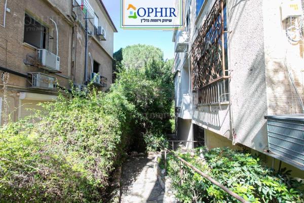 עין גדי, כרמל צפוני