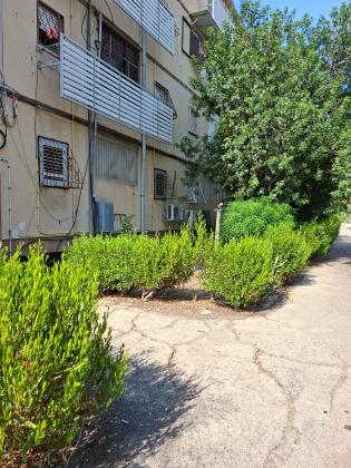 צה"ל, קרית אליעזר