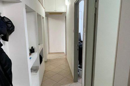 האורן 40, רוממה החדשה