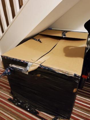 עגלת Racer EVO לצרכים מיוחדים