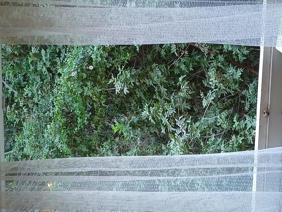 הלל 19, הדר עליון