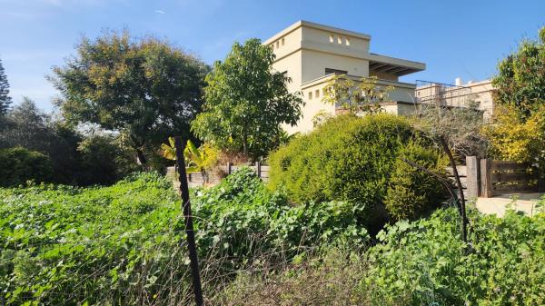 אחוזה 61, מרכז כרכור