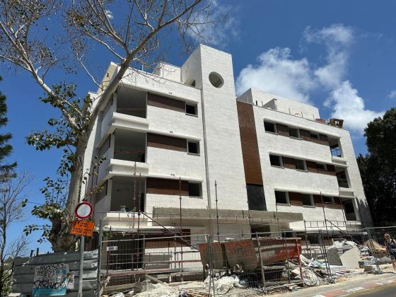 שושנת הכרמל 1, כרמל ותיק