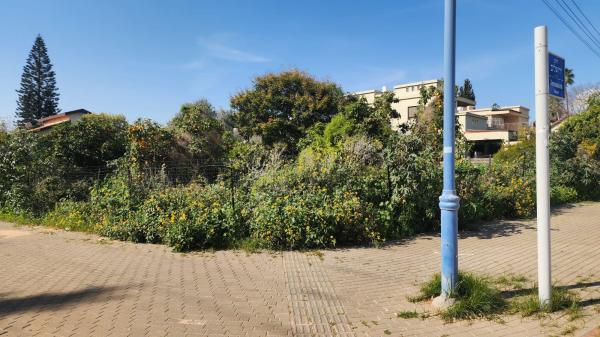 אחוזה 61, מרכז כרכור