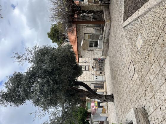 בן גוריון, המושבה הגרמנית