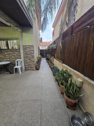 שאול המלך, שפירא