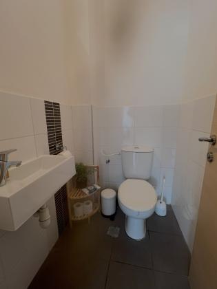 רחל המשוררת, הירוקה המערבית