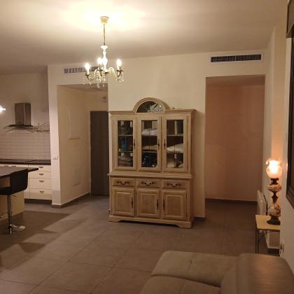 גרשון אבנר 8, ארמון הנציב