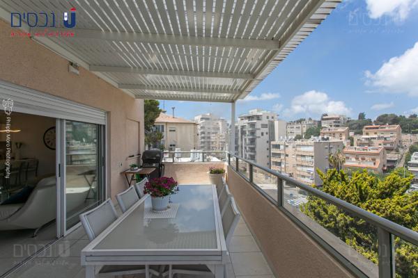 אביגיל, אחוזה