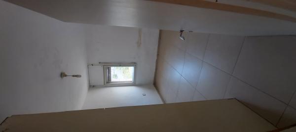 אריה בעהם 4, פת