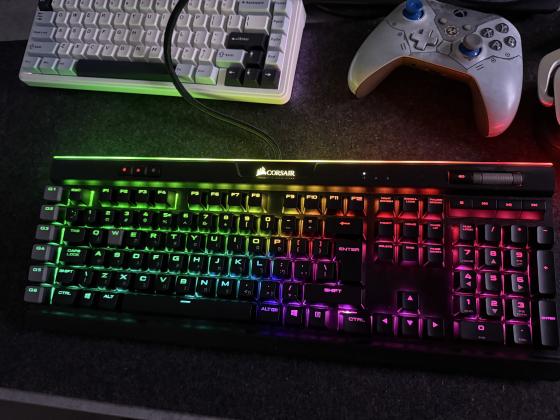 ממליץ בחום במחיר משתלם ממש